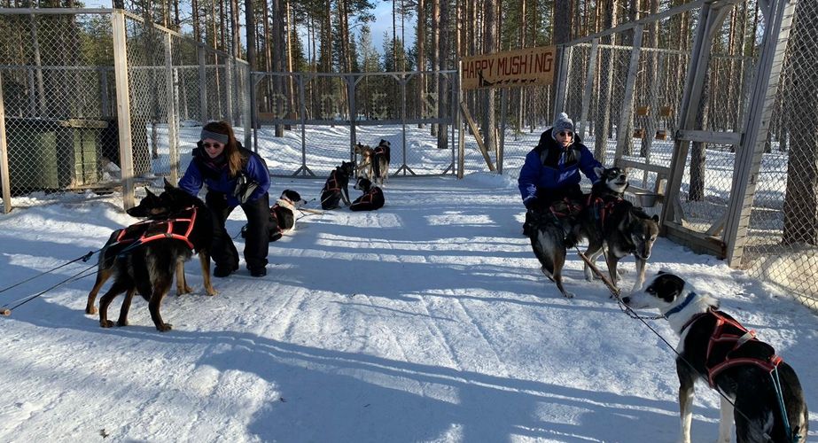 29 38 Lapland 39 29 38 Lapland 39